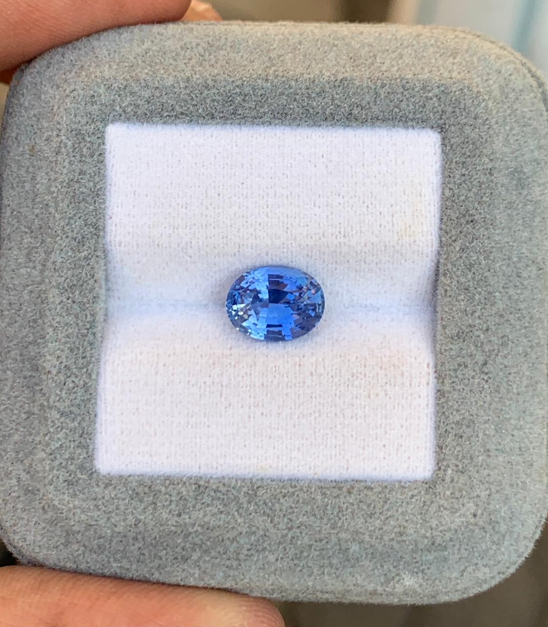 Saphir Bleu Ovale de 2,51ct