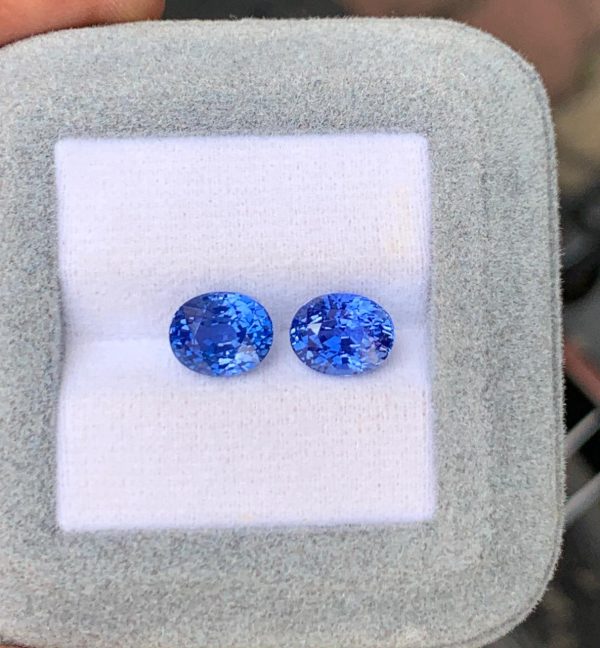 Saphir Bleu Ovale de 6,02ct