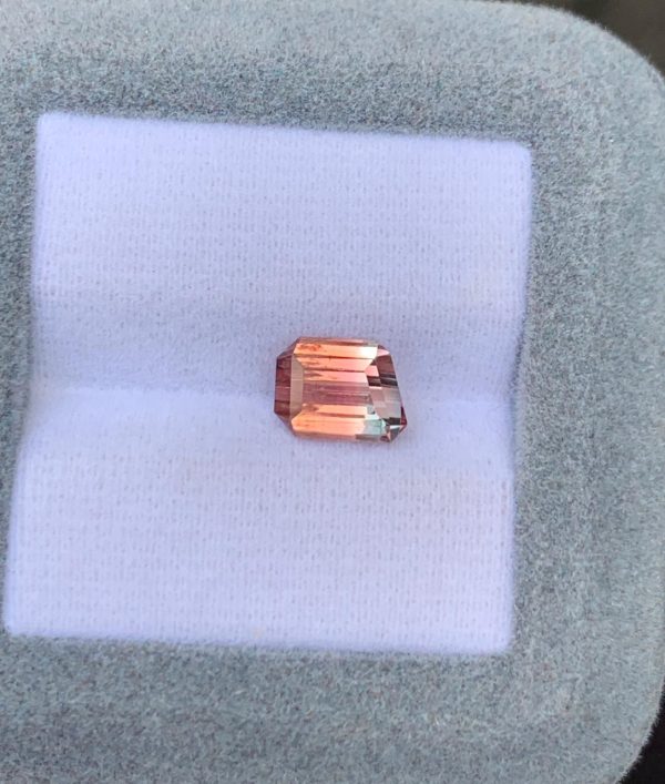Tourmaline Bicolore Rectangle de 1,90ct - vue principale