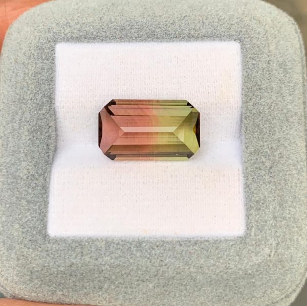 Tourmaline Bicolore Rectangle de 8,55ct - vue principale