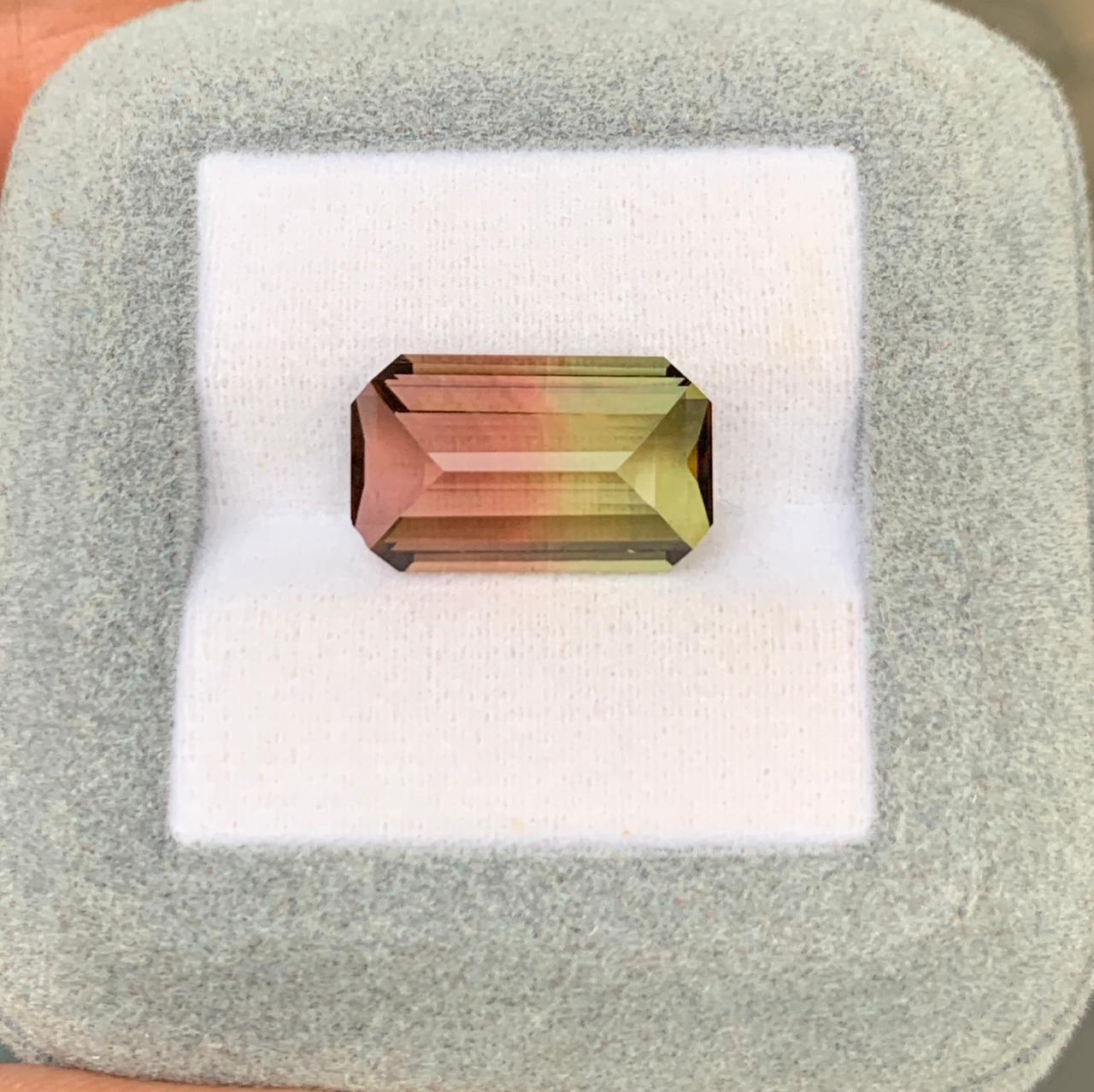 Tourmaline Bicolore Rectangle de 8,55ct - vue principale