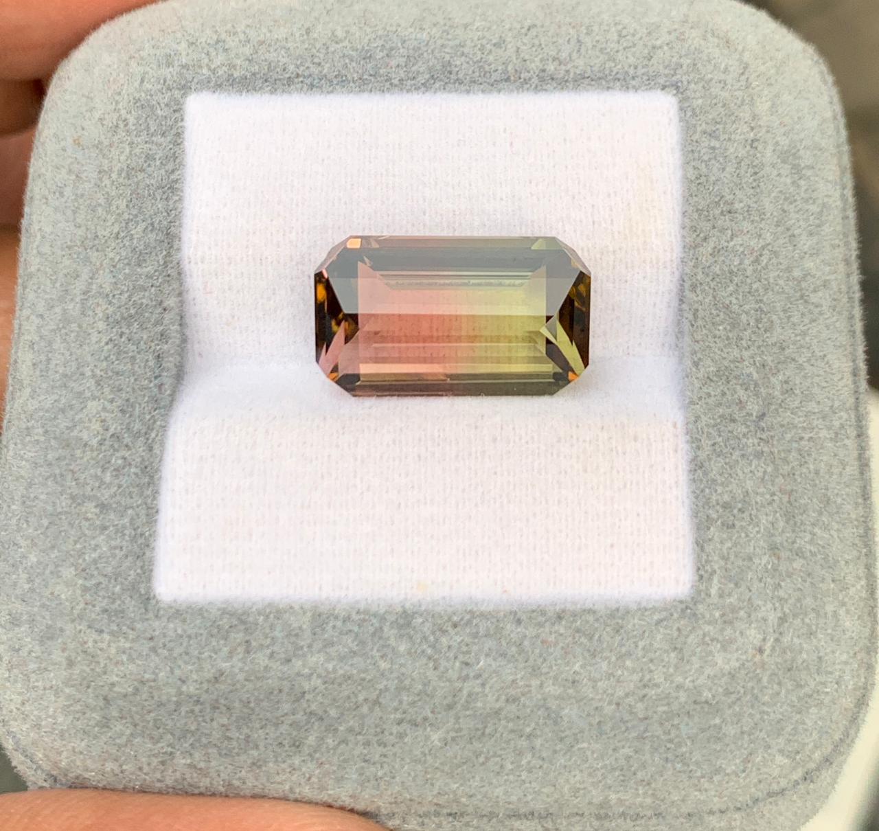 Tourmaline Bicolore Rectangle de 8,55ct - vue 2