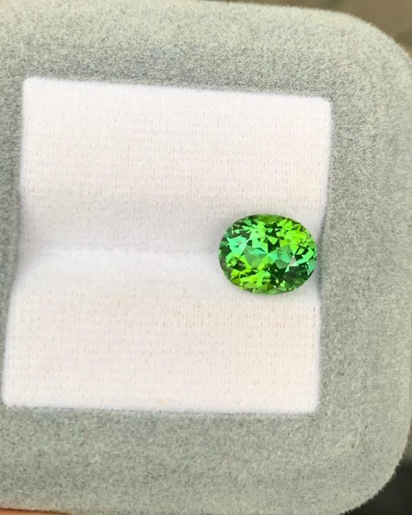 Tourmaline Bicolore Ovale de 3,17ct - vue principale